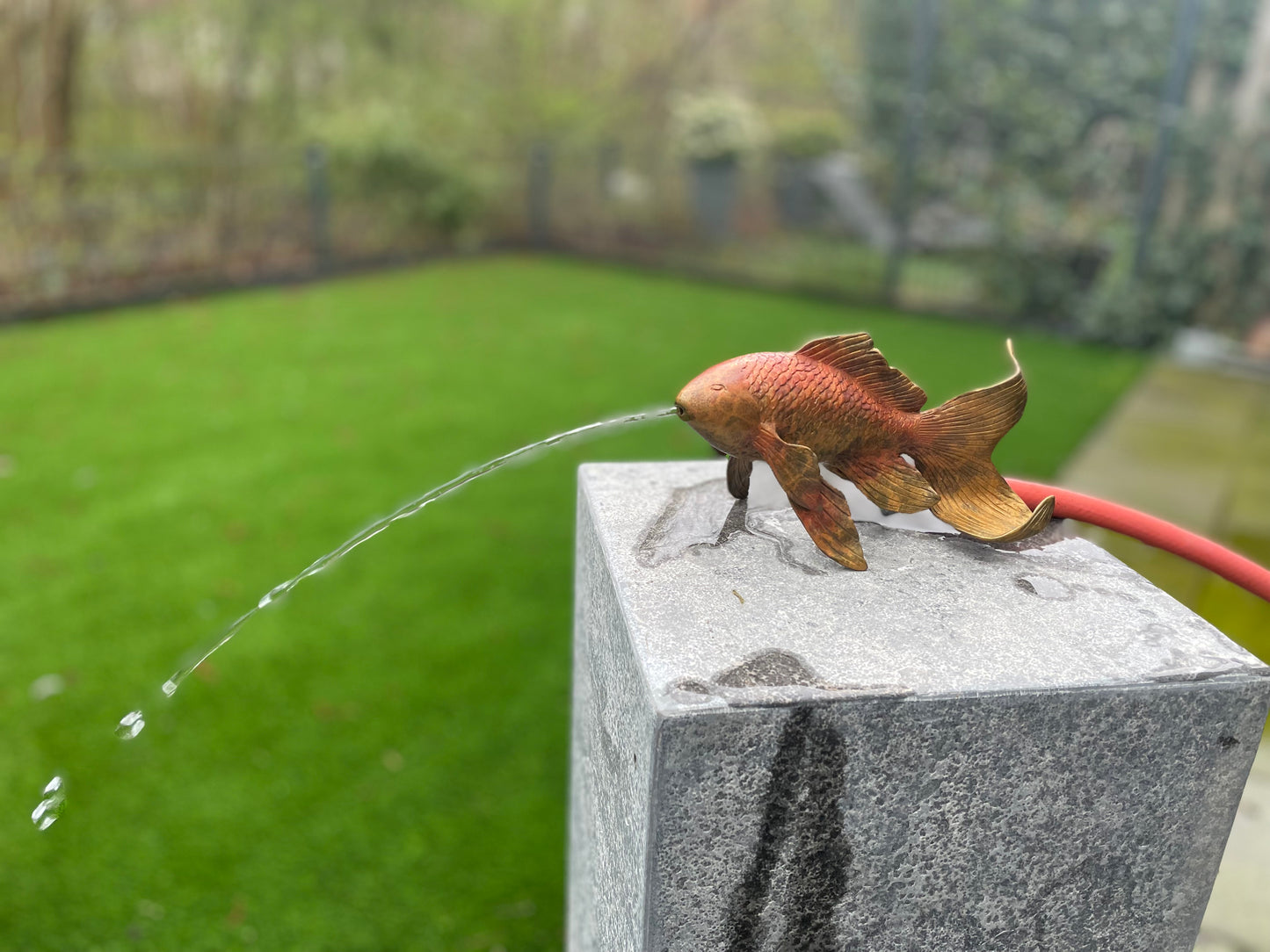 Peixe dourado de bronze ( Fonte ) 11x8x18cm