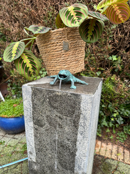 Sapo de bronze III - Fonte - Estátua de jardim - Lagoa - Decoração de jardim