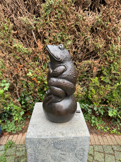 Sapo de bronze - fonte - estátua de jardim - lago - decoração de jardim