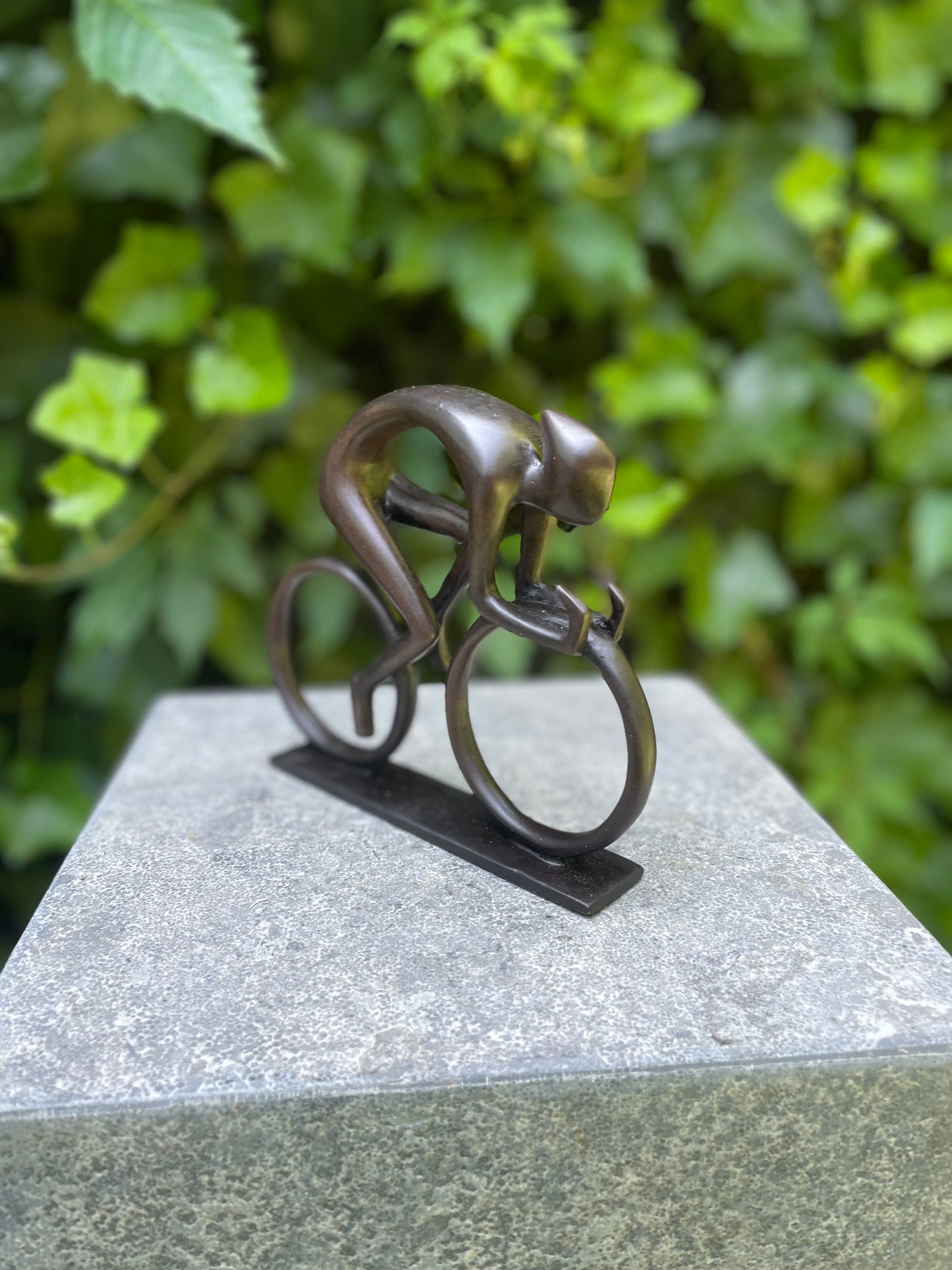 Ciclista de Bronze - 15x17x3cm