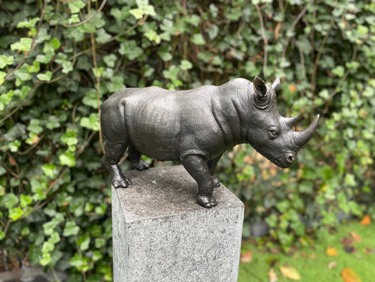 Bronzen Neushoorn 18x12x35cm