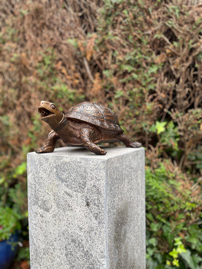 Tartaruga de Bronze - Estátua de jardim - Interior - Decoração de lago - Fonte