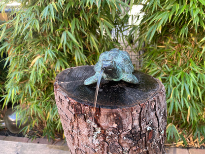 Tartaruga de Bronze - Estátua de jardim - Interior - Decoração de lago - Fonte