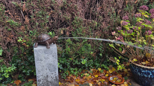 Bronzen Schildpad - Tuinbeeld - Binnen - Vijverdecoratie - Fontein