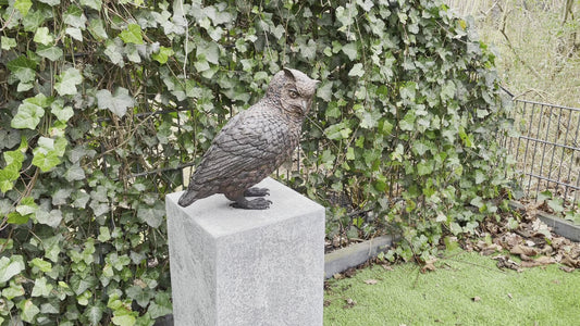 Bronze Owl - 30x15x28cm