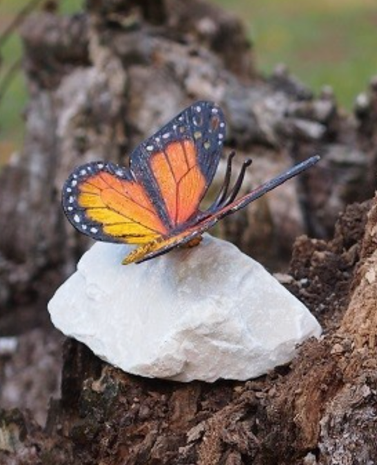 Borboleta em Bronze 12x11x11cm