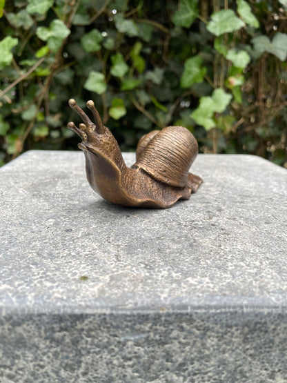 Caracol em Bronze 6x5x11cm