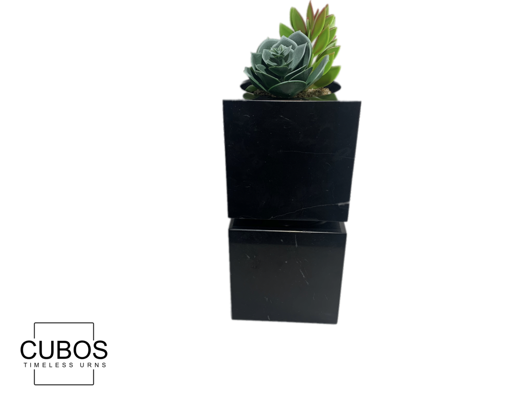 Cubos Plant Nero Marquina