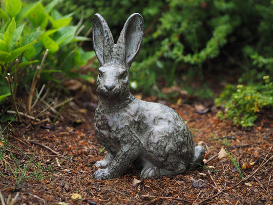 Rabbit in Bronze 36x15x26cm